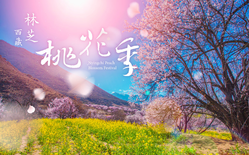 西藏林芝桃花季12日